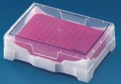 Mini cooler-PCR mit transparentem Deckel